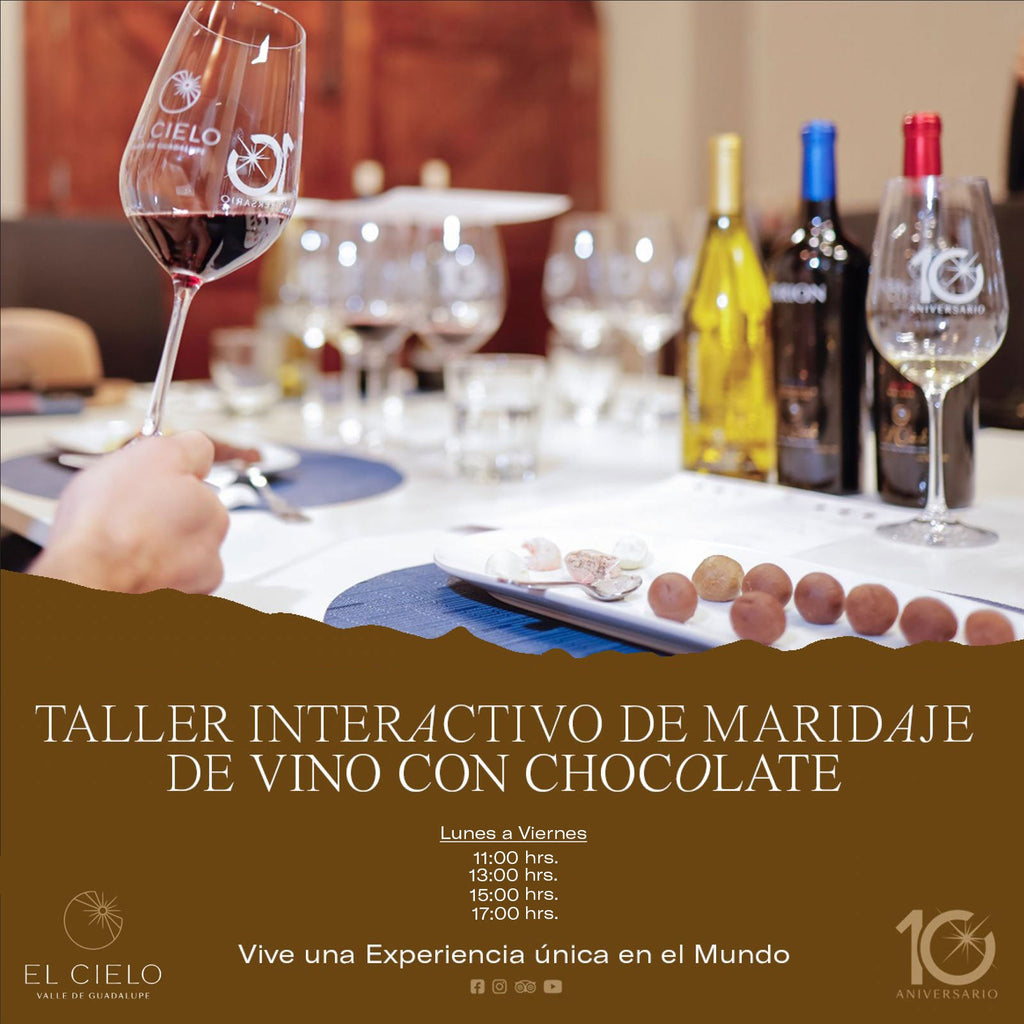 Interactive wine and chocolate pairing workshop | Vinos El Cielo, image size:1024x1024
