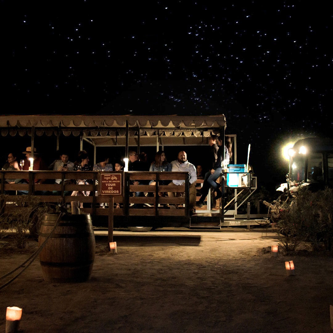 El Cielo de Noche - Vinos El Cielo