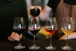 Everything you need to know about wine tasting