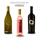 Tour and Tasting in Wagon - El Cielo Wines