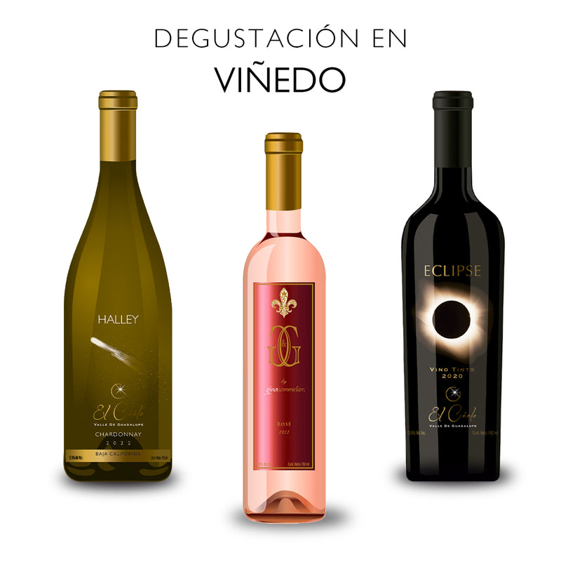 Tour and Tasting in Wagon - El Cielo Wines