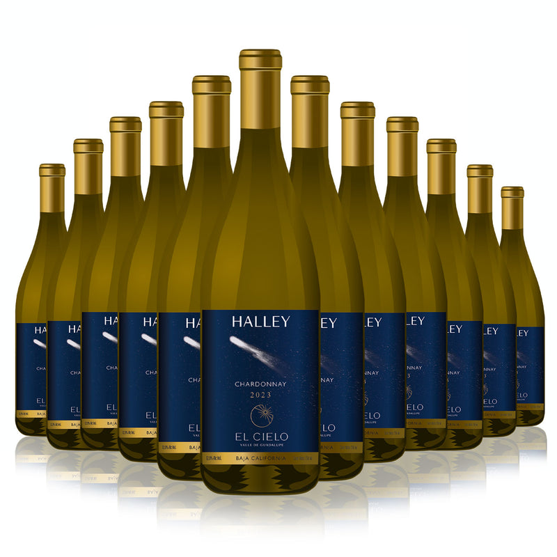 Halley White Wine - Vinos El Cielo
