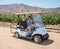 Golf Cart Rental - El Cielo Wines