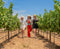 Tour and Tasting in Golf Cart and optional Cava Tasting (Tuesday to Friday) - El Cielo Wines