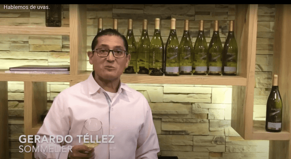 Hoy en Hablemos de Uvas - El Sommelier Gerardo Tellez, nos habla de la Chardonnay. - Vinos El Cielo