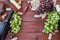 Variedades de uva para vino