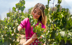 Joven en la vendimia de El Cielo Valle de Guadalupe 