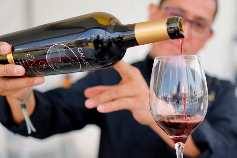 ¿Es buena idea comprar vino en una vinícola?