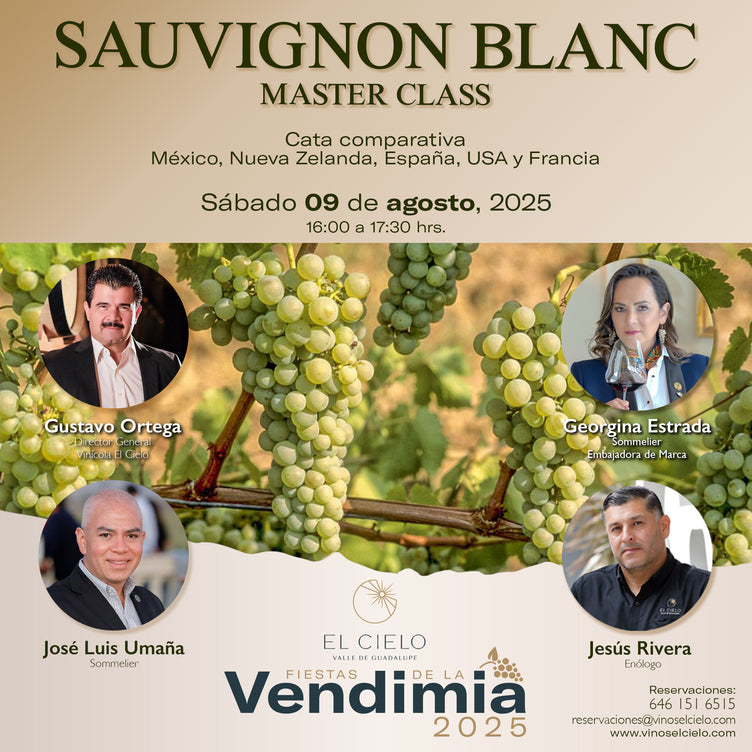 MASTER CLASS SAUVIGNON BLANC