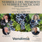 MASTER CLASS NEBBIOLO DEL PIEMONTE VS NEBBIOLO MEXICANO