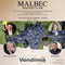 MASTER CLASS MALBEC