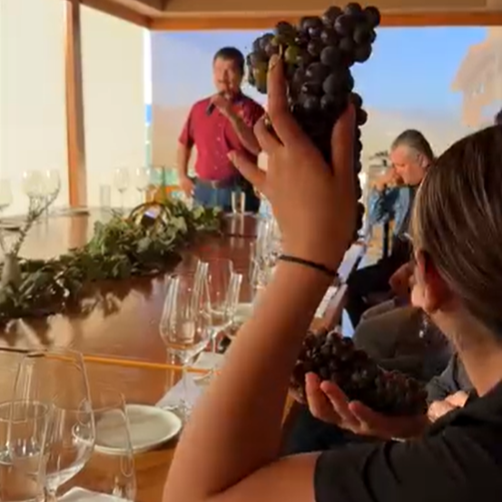 MASTER CLASS CABERNET SAUVIGNON