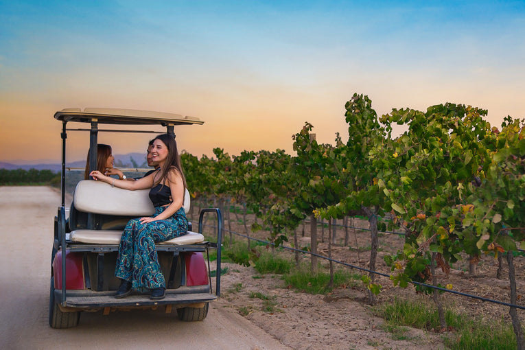 Un Día En El Cielo Vendimia 2023 - Vinos El Cielo