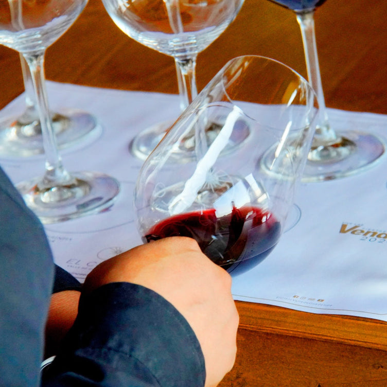 MASTER CLASS CABERNET SAUVIGNON