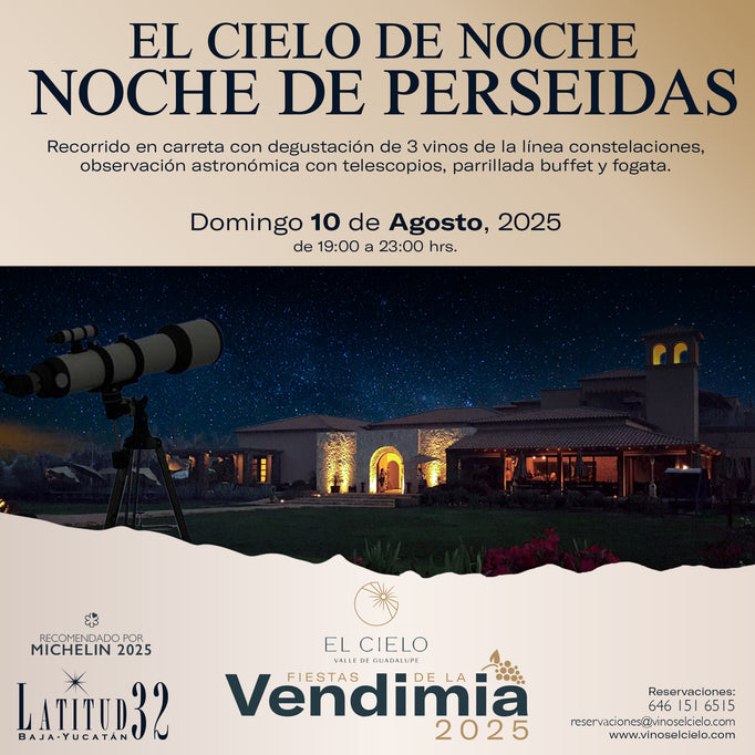 EL CIELO DE NOCHE, NOCHE DE PERSEIDAS