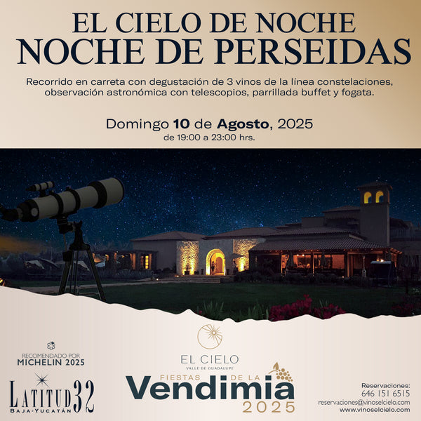 EL CIELO DE NOCHE, NOCHE DE PERSEIDAS