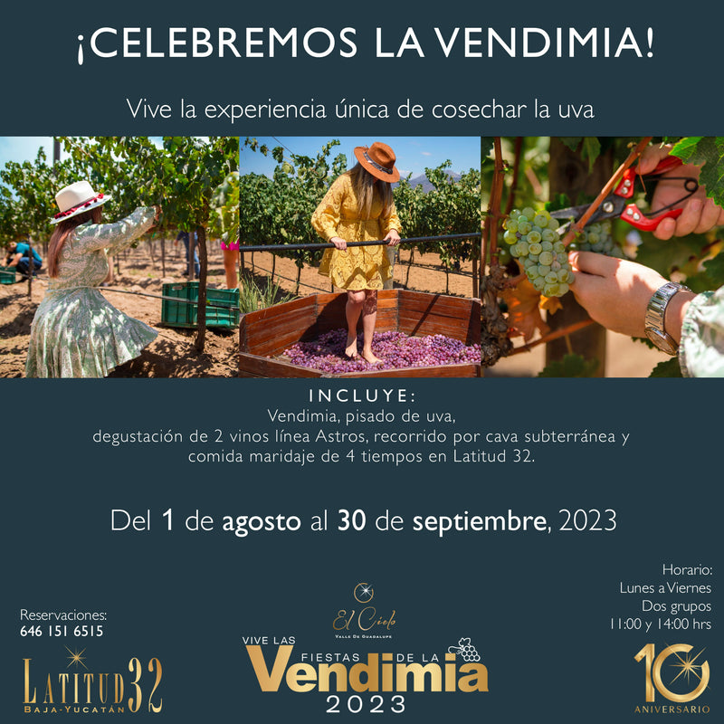 Celebremos la Vendimia 2023 - Vinos El Cielo