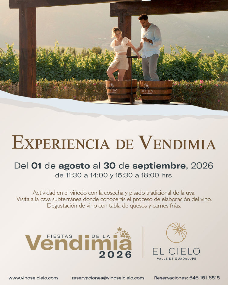 Experiencia de Vendimia