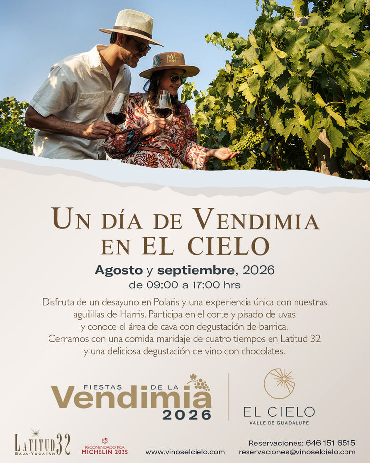 Un Día de Vendimia en El Cielo