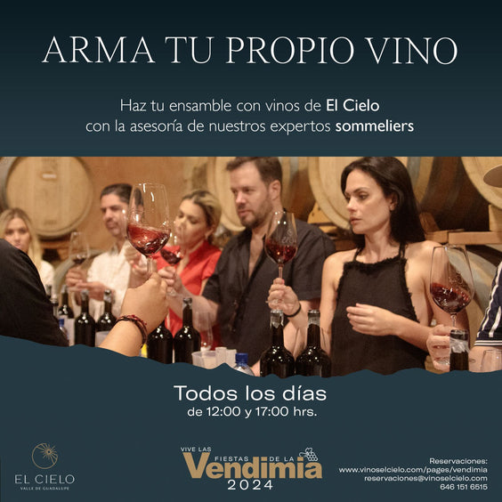 Arma Tu Propio Vino - Vinos El Cielo