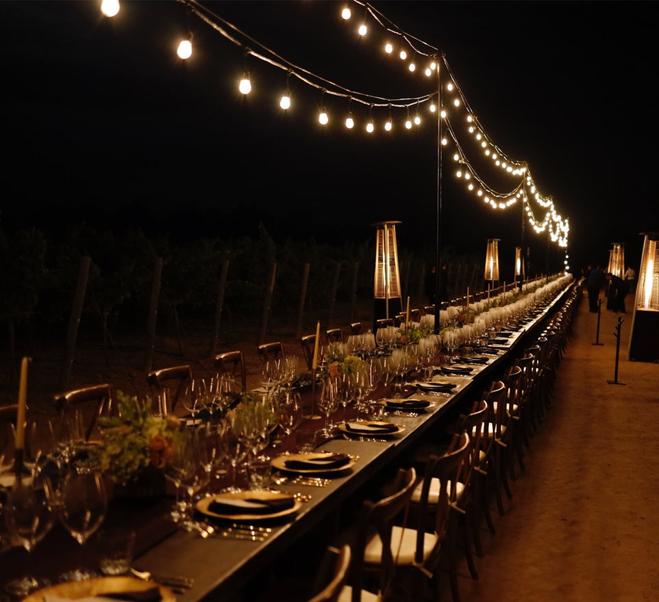 Cena Maridaje Entre Viñedos