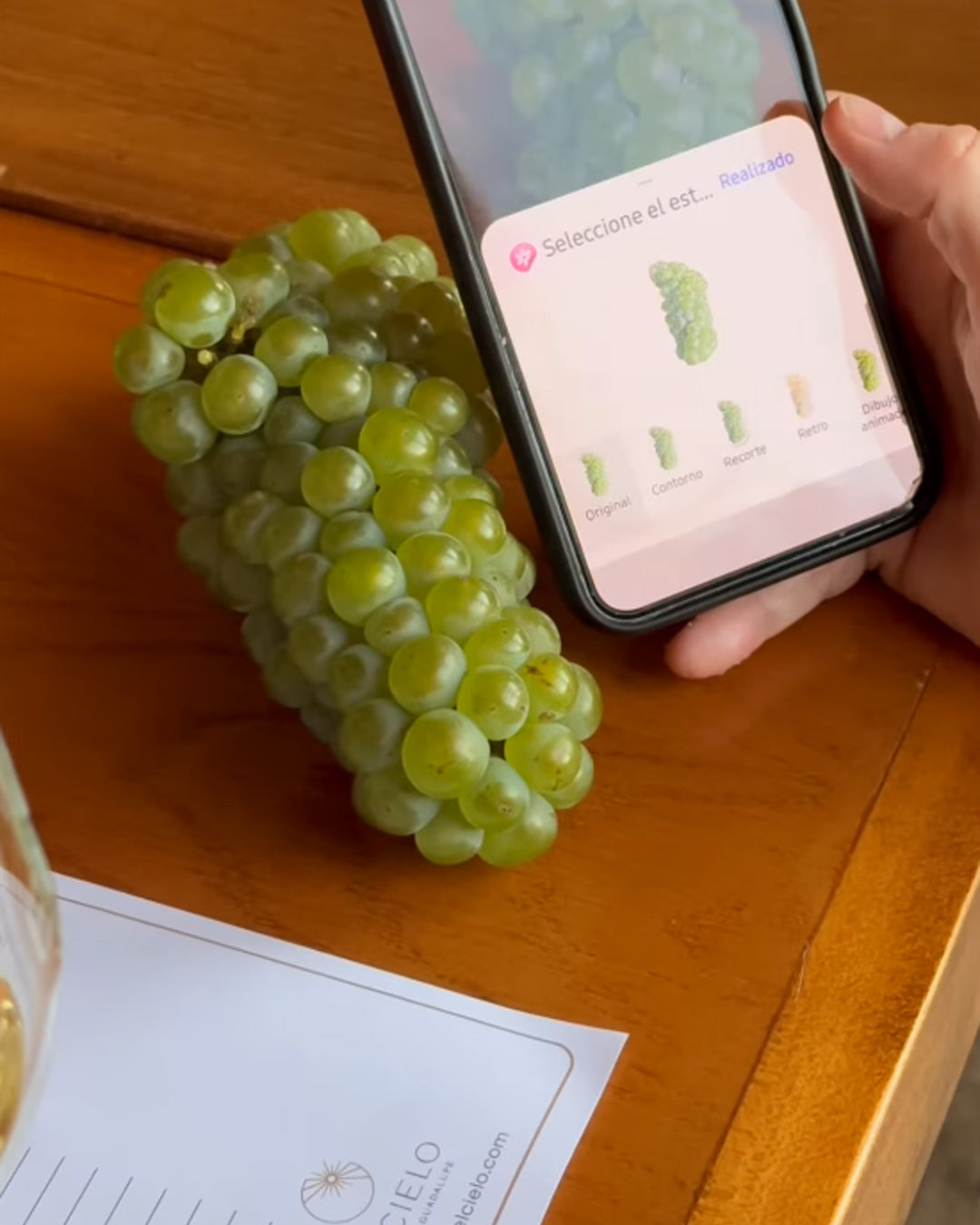 MASTER CLASS CHARDONNAY