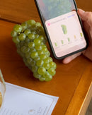 MASTER CLASS CHARDONNAY