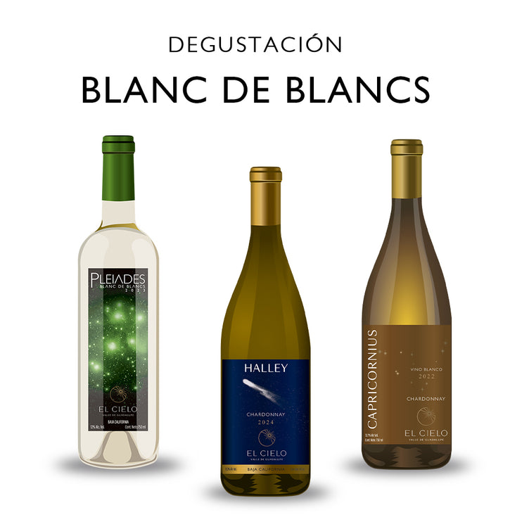 Degustaciones en Terraza