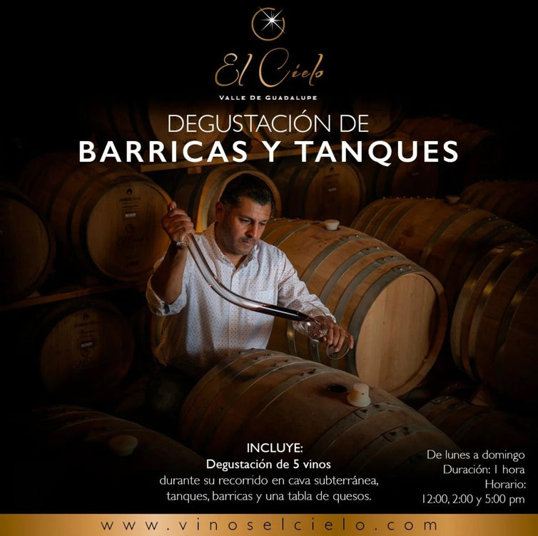 Degustación de Barricas y Tanques - Vinos El Cielo