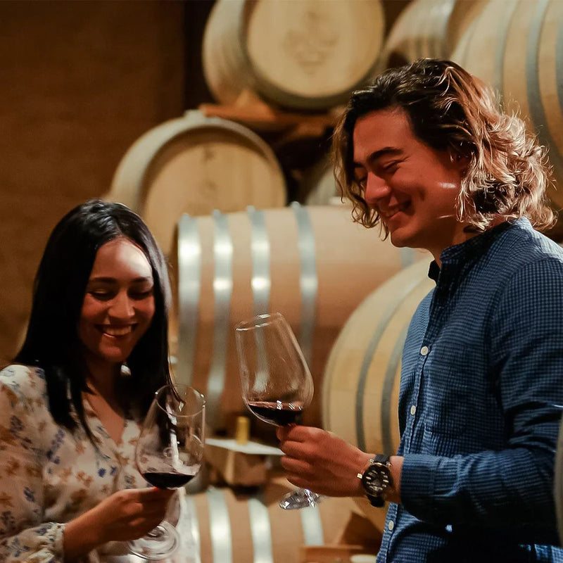 Degustación de Barricas y Tanques - Vinos El Cielo