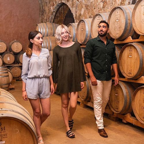 Degustación en Cava - Vinos El Cielo