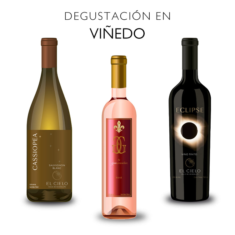 Tour y Degustación en Carreta