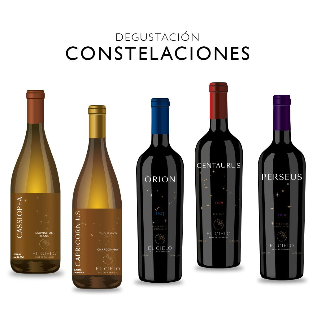 Tour y Degustación Constelaciones