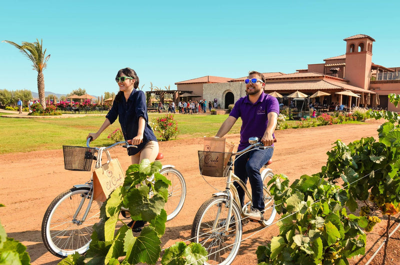 Renta de Bicicletas - Vinos El Cielo