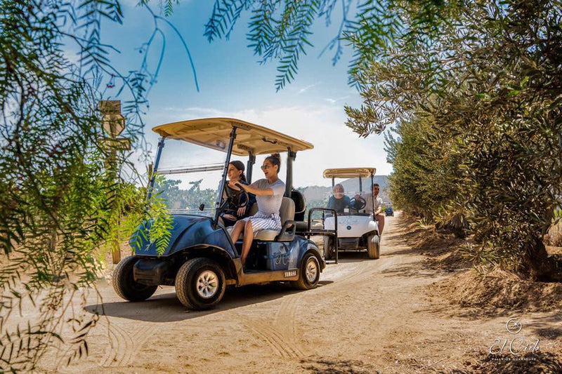 Renta de Carro de Golf - Vinos El Cielo