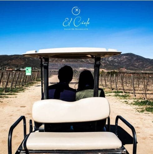 Renta de Carro de Golf - Vinos El Cielo