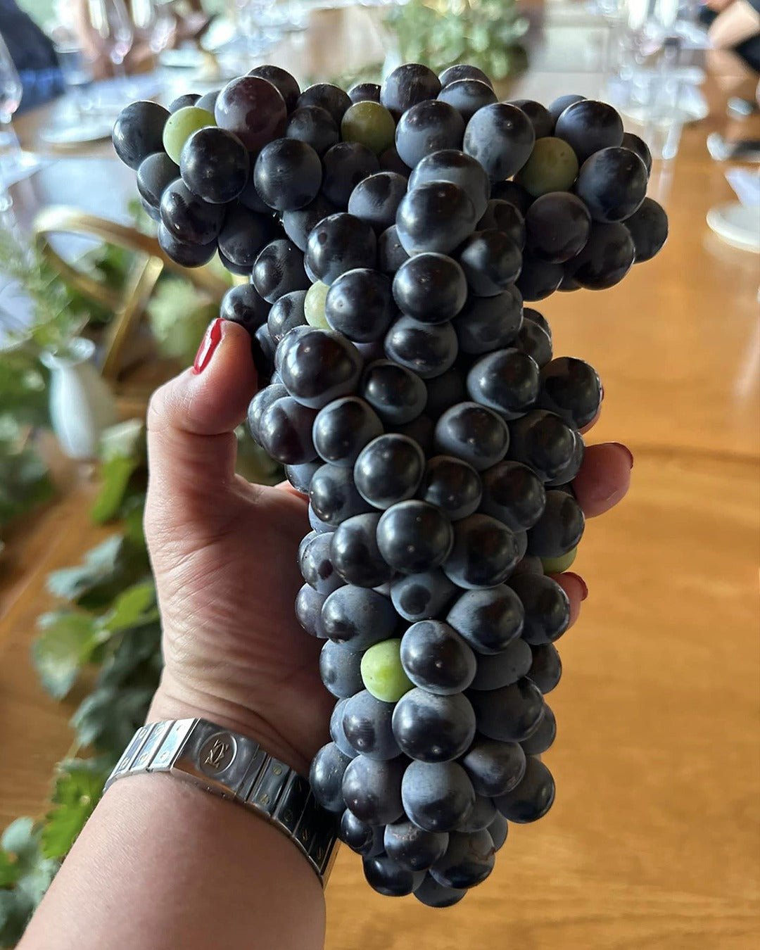 August 11 Master Class History of Wine in Mexico