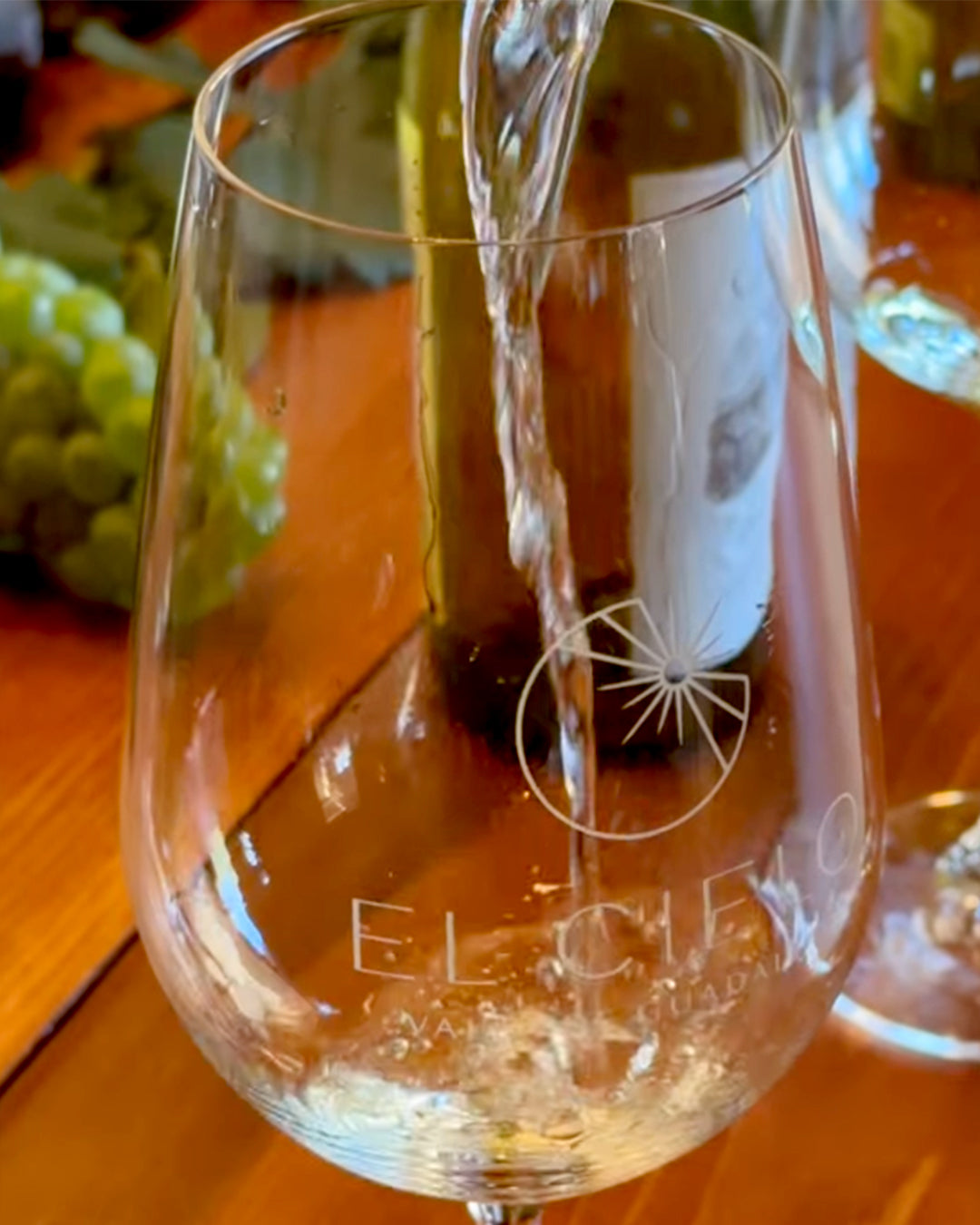 MASTER CLASS SAUVIGNON BLANC