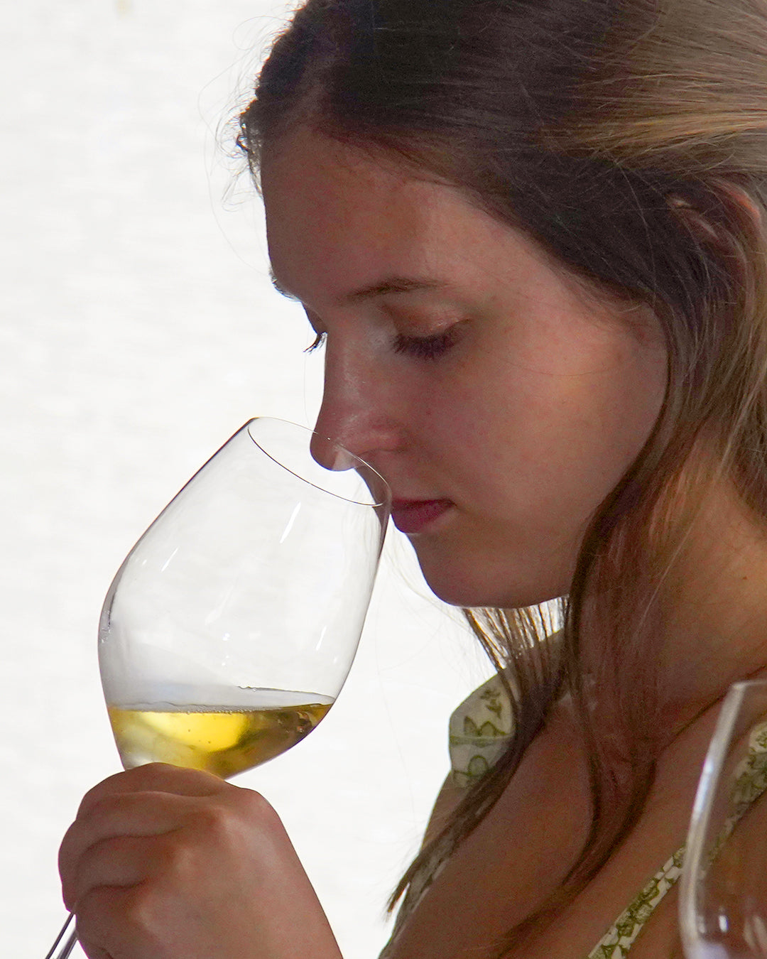 MASTER CLASS SAUVIGNON BLANC
