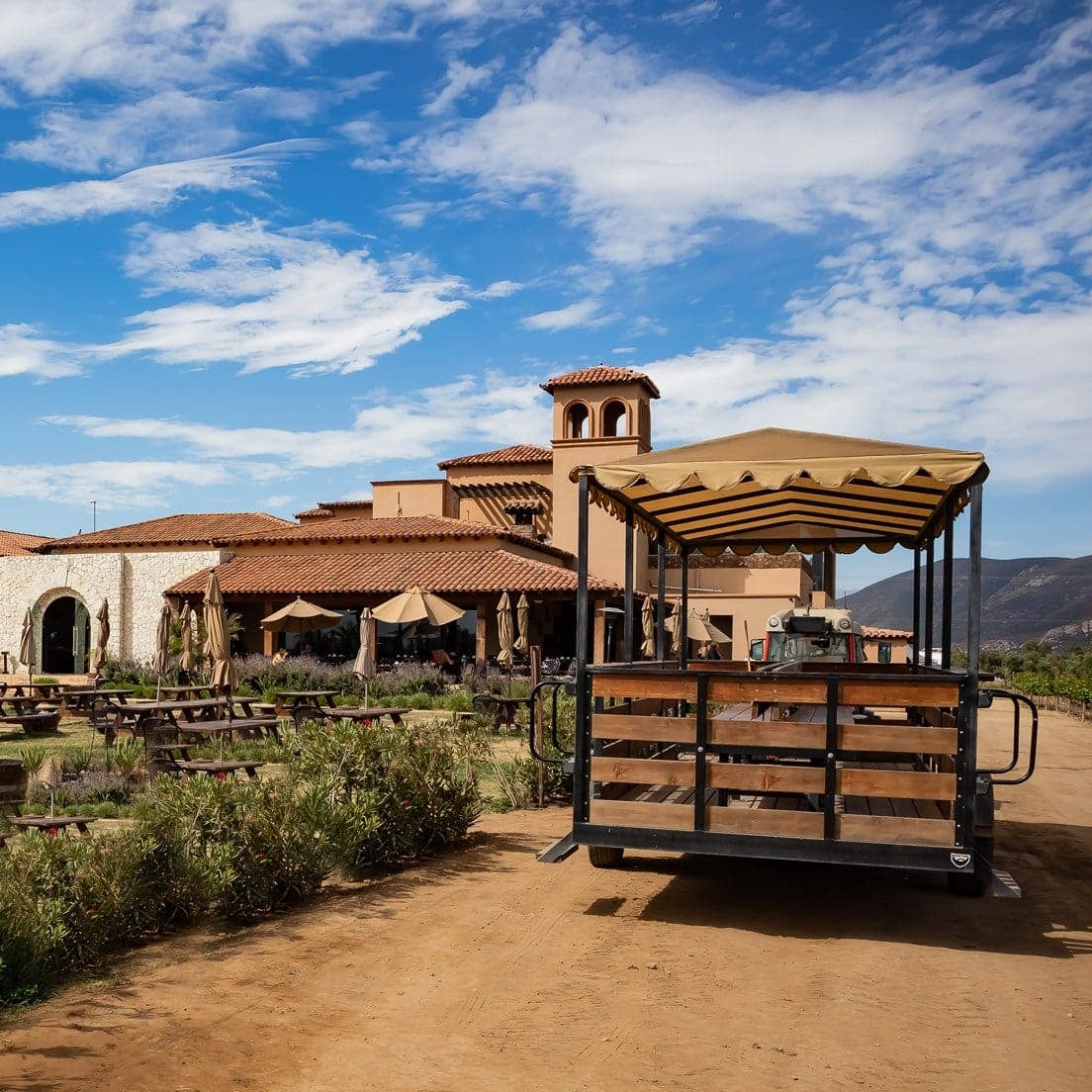 Tour y Degustación en Carreta - Vinos El Cielo