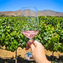 Tour y Degustación en Carreta - Vinos El Cielo