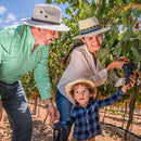 Tour y Degustación en Carreta - Vinos El Cielo