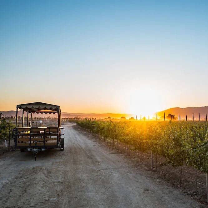 Tour y Degustación en Carreta - Vinos El Cielo