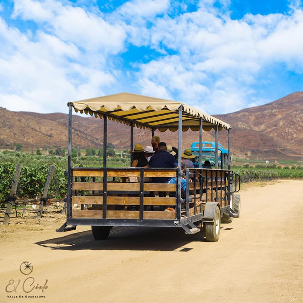 Tour y Degustación en Carreta - Vinos El Cielo