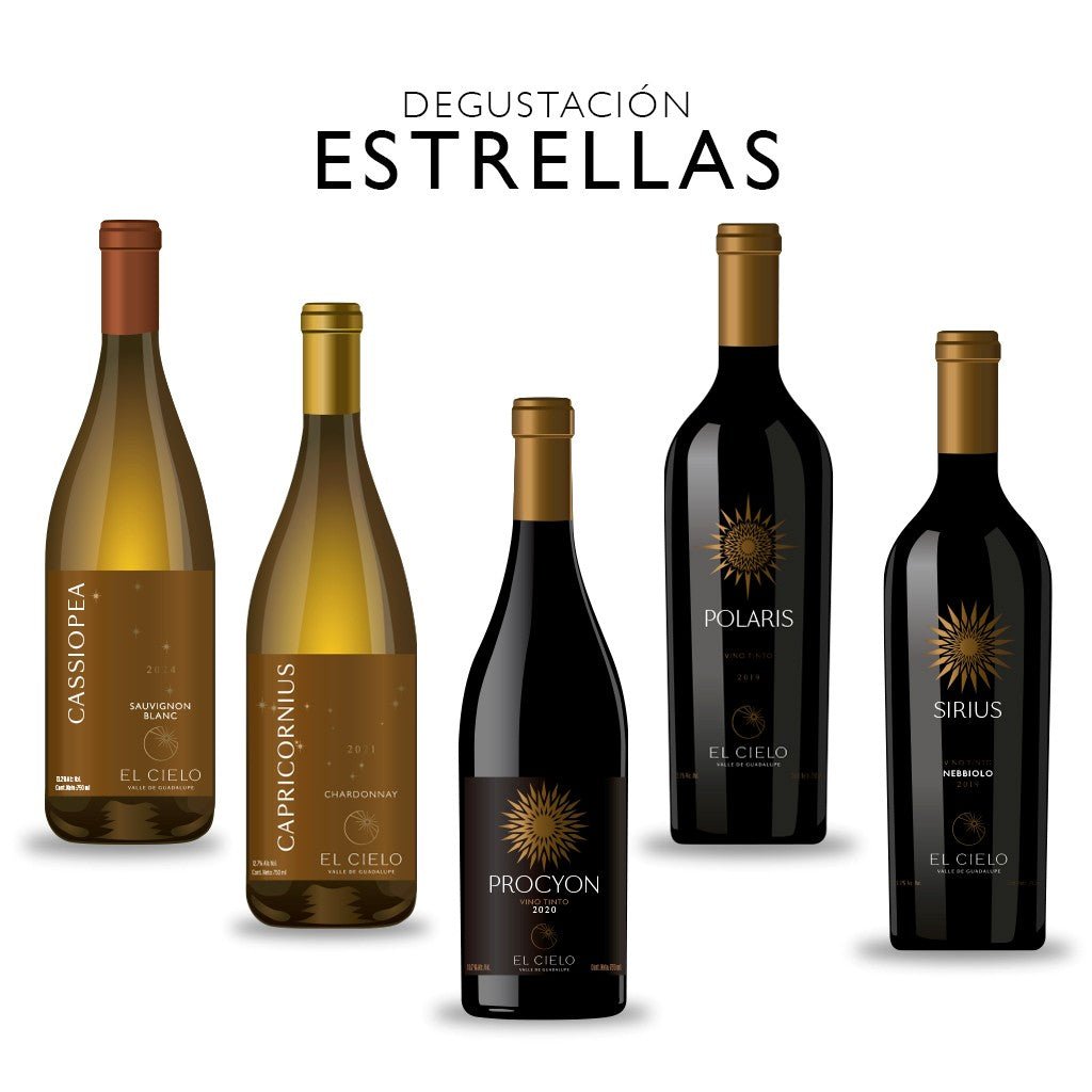 Tour y Degustación Estrellas - Vinos El Cielo