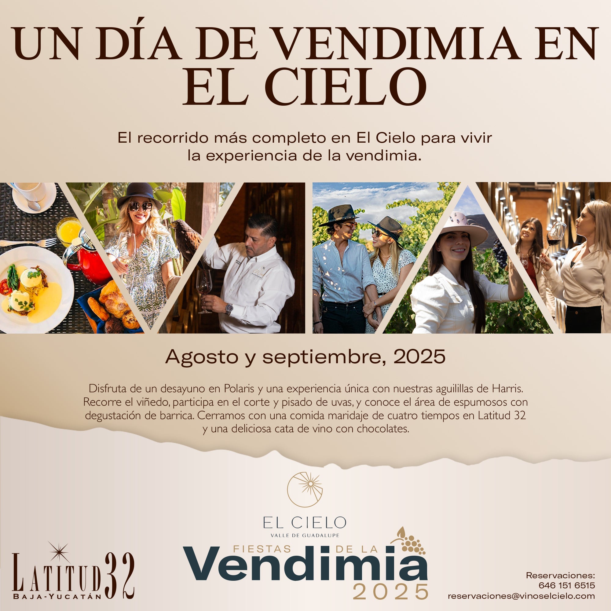 UN DIA DE VENDIMIA EN EL CIELO - Vinos El Cielo