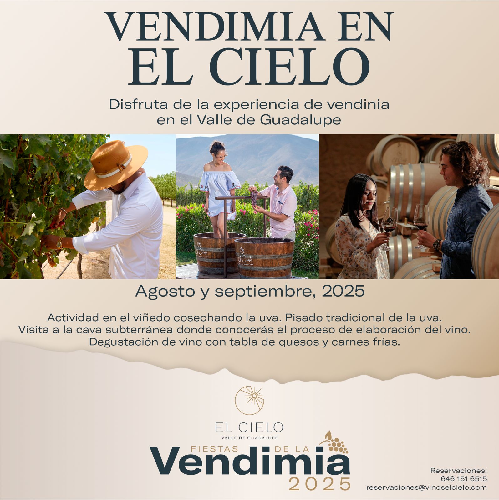 VENDIMIA EN EL CIELO - Vinos El Cielo
